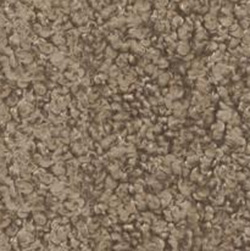 OTE-GLORE-170-2