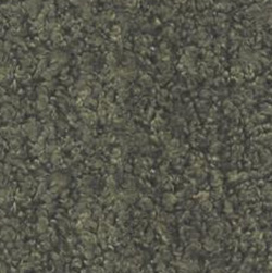 OTE-GLORE-355-2