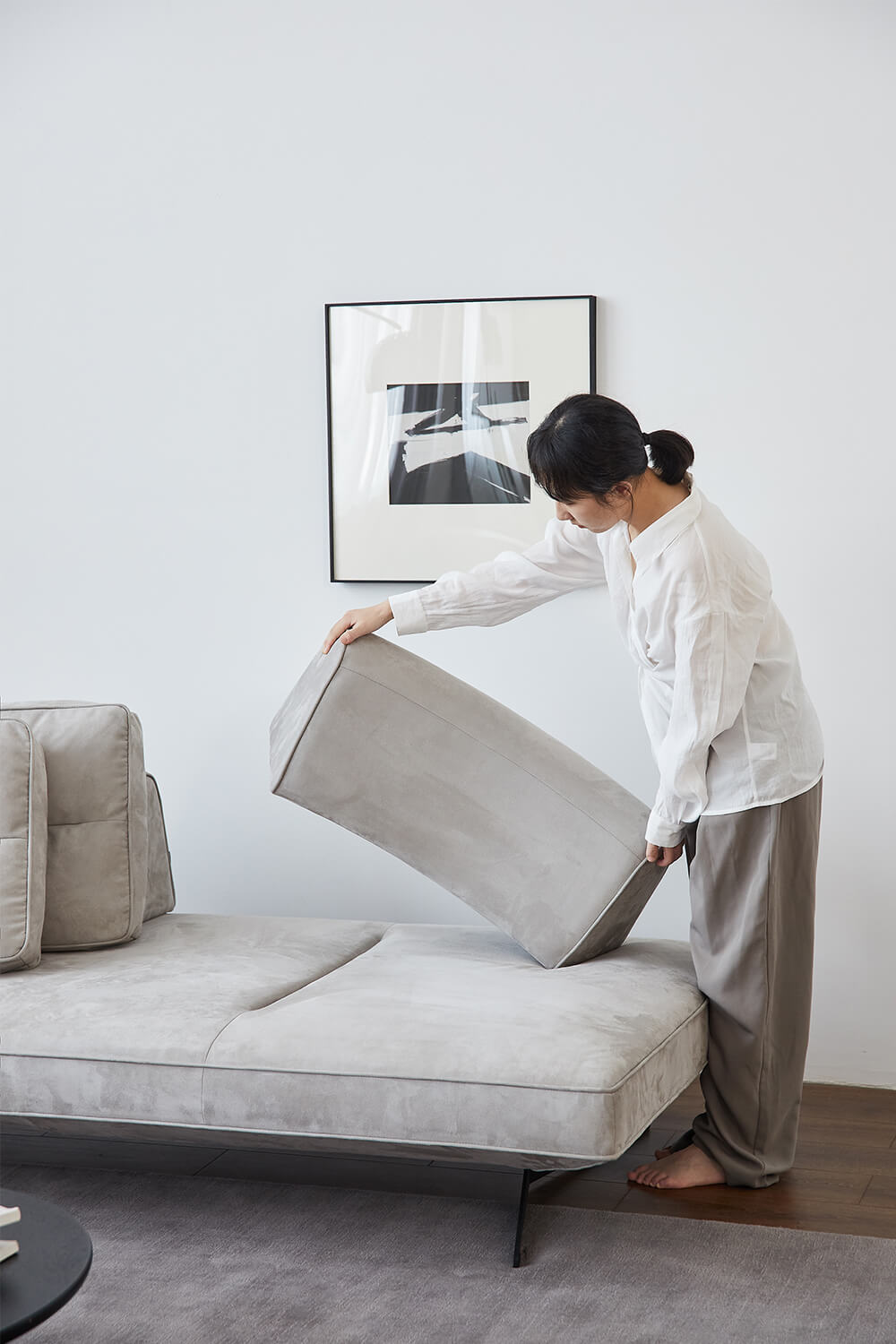 modern daybed with Removable cushion